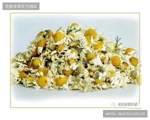 俱乐部研制专属恢复药包，革新运动健康新体验