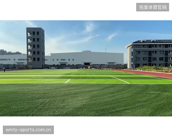 球场草皮科技提升：伤停率明显下降